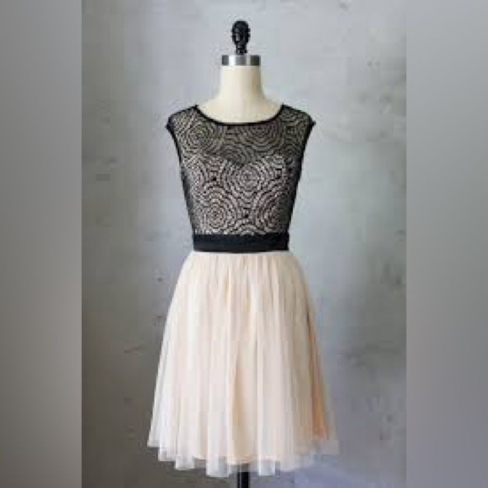 ModCloth Starlet's Web Turquoise Tulle Black Lace Fit-and-Flare Dress - Picture 16 of 16